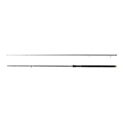 Lanseta Delphin Murena 2.70m/100g