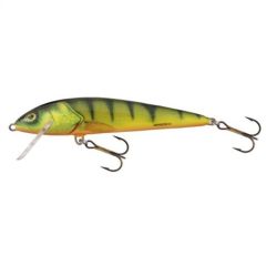 Vobler Salmo Minnow M6F HP