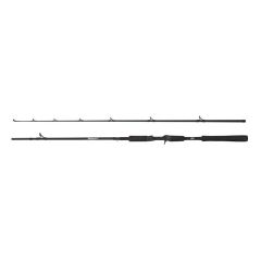 Lanseta Abu Garcia Beast Jerkbait Pike 662HP 1.98m/40-90g