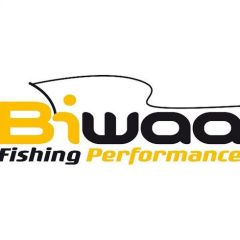 Swimbait Biwaa Strout 9cm/8g, culoare Roach