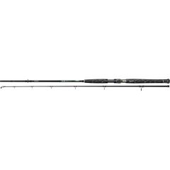 Lanseta Cormoran Cat Big Cat Pro Short Range 2.80m/100-400g