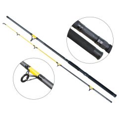 Lanseta Baracuda Catfish Fighter 2702 2.70m/50-150g