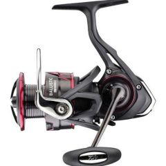 Mulineta Daiwa Ballistic LT 2000D