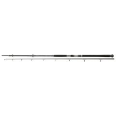 Lanseta Daiwa Exceler Catfish Spin 2.40m/-185g 