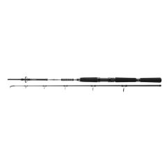 Lanseta Daiwa BG Offshore Pilk 2.10m/40-125g