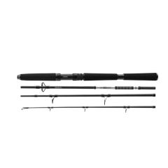 Lanseta Daiwa BG Offshore Travel 2.40m/40-125g