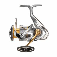 Mulineta Daiwa Freams LT 2000D