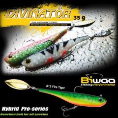 Shad Biwaa Divinator Medium 18cm/35g, culoare Fire Tiger