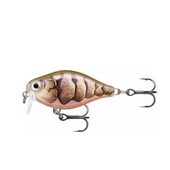 Vobler Rapala X-LIGHT Crank Shallow Runner 3.5cm/4g, culoare PUPU