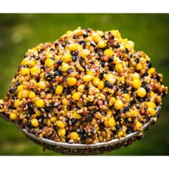 Seminte preparate Wild Carp Gold Mix 3kg