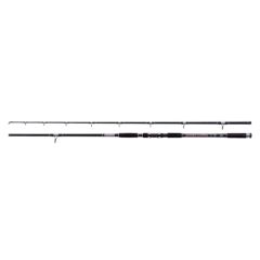 Lanseta Jaxon Zaffira Catfish 3m/400g