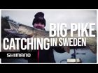 Lanseta Shimano Yasei Pike Casting XH 2.50m/40-100g