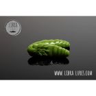 Worm Libra Lures Largo 3cm Cheese culoare 031