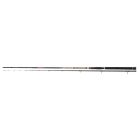Lanseta Trabucco Astore Iso Hunter 2.70m/250g